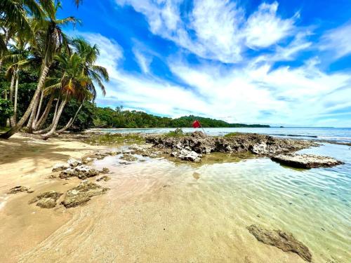 a sandy beach with palm trees and the ocean at All Private Villa, Pool, HOT Jacuzzi, Magic Jungle Garden, Cocles Beach in Cocles