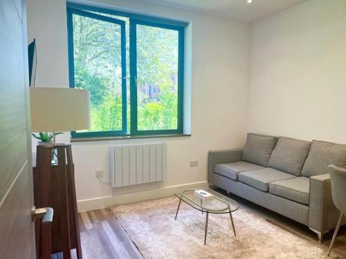 Χώρος καθιστικού στο Luxury Apartment 5
