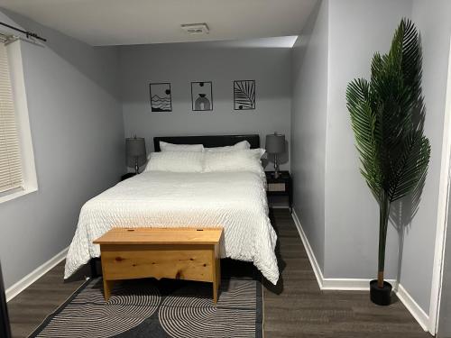 ein Schlafzimmer mit einem Bett und einer Topfpflanze in der Unterkunft Warm and Cozy Retreat in Morgantown