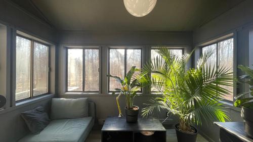 a living room with plants and a couch and windows at Poconos Modern Chalet-Hot Tub-Home Theater-Lake in East Stroudsburg