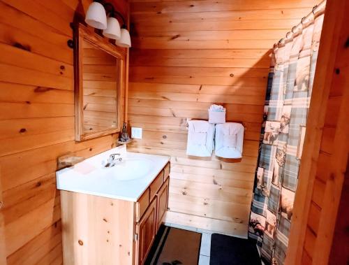 Et badeværelse på Prime Mountain Cabin - Near Galinburg Downtown