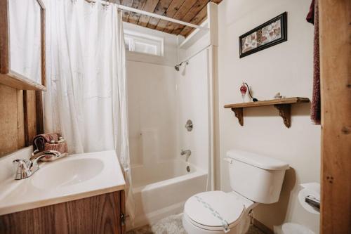a bathroom with a toilet and a sink and a tub at 05MBH - Economical - WiFi - Pets Ok - F P - D W - Sleeps 2 apts in Maple Falls
