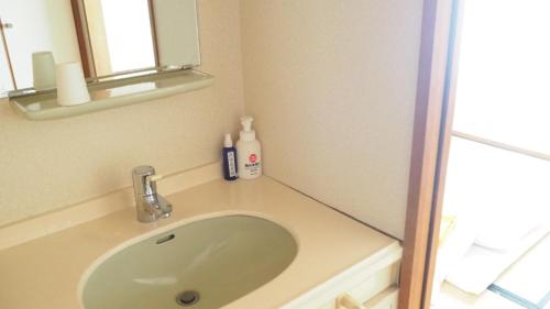 草加市的住宿－ビジネス旅館 越後家，一间带水槽和镜子的浴室