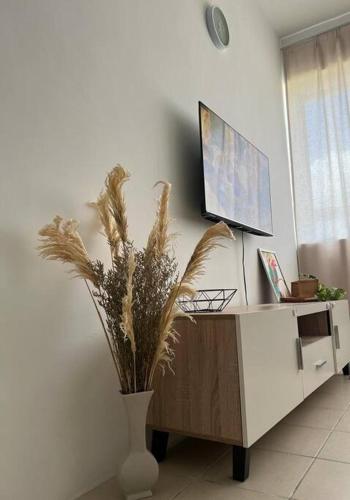 TV a/nebo společenská místnost v ubytování SJ Home