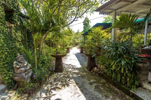 a garden with many plants and a walkway at 221 Garden Cottages in Nusa Lembongan