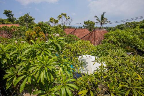 a group of trees and plants in front of a house at 221 Garden Cottages in Nusa Lembongan