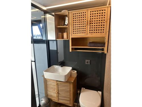 a bathroom with a sink and a toilet at Premium Houseboat Blue Lagoon in Lübeck
