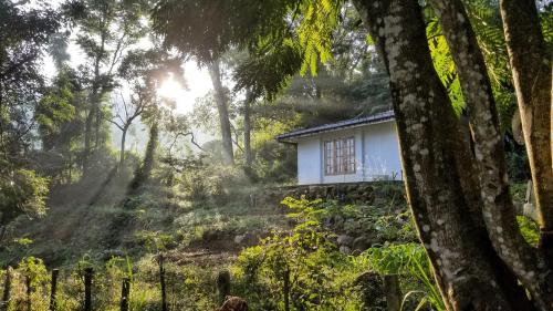 a house in the middle of a forest at Jungle Tide in Kandy