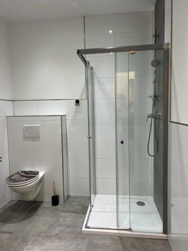 a glass shower in a bathroom with a toilet at Murtal Appartement Größingblick Top 2 in Zeltweg