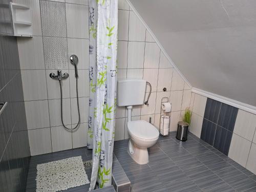 a bathroom with a toilet and a shower at Guest House Lisina in Poljanak