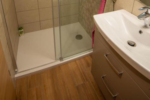 a bathroom with a shower and a sink at Vineyard Cottage Mayolka - Happy Rentals in Novo Mesto