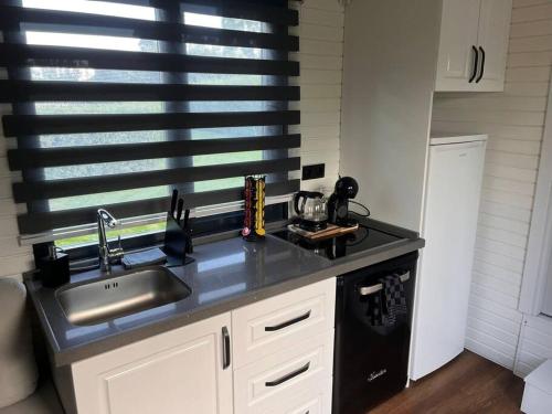 a kitchen with a sink and a counter top at Tinyhouse Friesland 