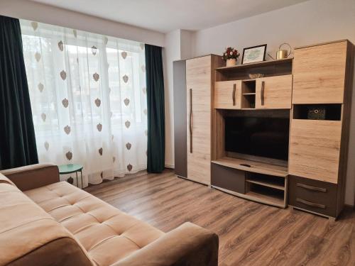 uma sala de estar com um sofá e uma televisão em House of flowers em Petroşani