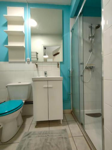 une salle de bain avec toilettes et douche dans l'établissement Le Manet, Maison, 3 chambres et 3 SdD avec WC, à Montigny-le-Bretonneux