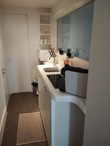 une petite cuisine avec un évier et une cuisinière dans l'établissement Le Cocon - 3 étoiles, à Annecy