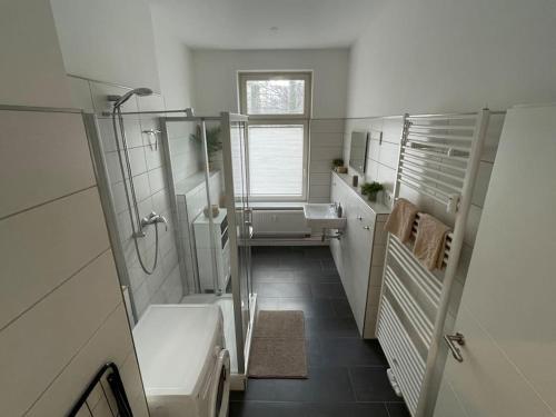 a bathroom with a shower and a sink and a toilet at #attraktive Altbauwohnung im Leipziger Zentrum 1 OG links in Leipzig