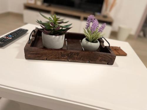 three plants in a wooden tray on a table at A Place to Stay 1BR Waters Edge Theme Parks, Yas Island in Abu Dhabi