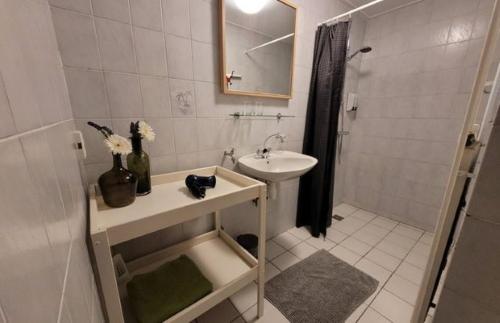 La salle de bains blanche est pourvue d'un lavabo et d'une douche. dans l'établissement Erve Niehof, à Diepenheim