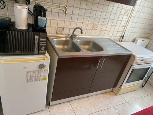 une cuisine avec un évier et un micro-ondes dans l'établissement Studio cosy avec jardin Chatou, à Chatou
