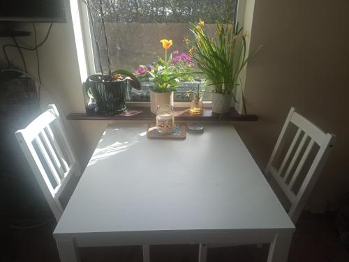 biały stół z roślinami na parapecie w obiekcie Salthill Stay B&B w Galway