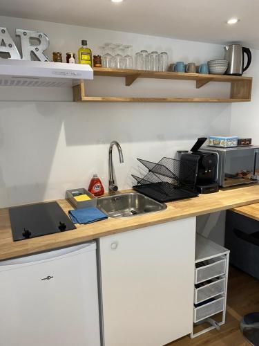 un comptoir de cuisine avec un évier et un micro-ondes dans l'établissement Petit chalet, à Aubervilliers