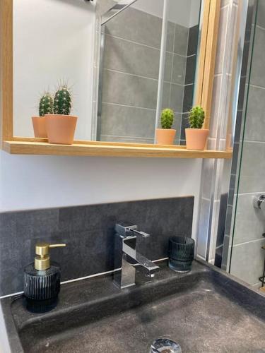 - un lavabo avec des plantes en pot sur une étagère dans l'établissement Villa Maya 5 - Aglandau - AVIGNON - CLIM - WIFI, à Avignon