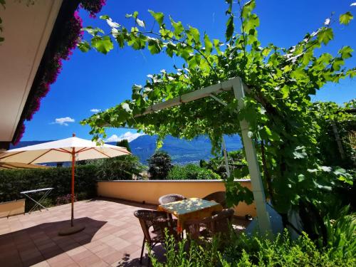 Κήπος έξω από το Ferienhof Franzelin