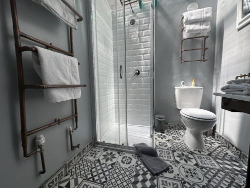 a bathroom with a shower and a toilet at Charming two-bedroom apartment, One Drake Road, Tavistock in Tavistock