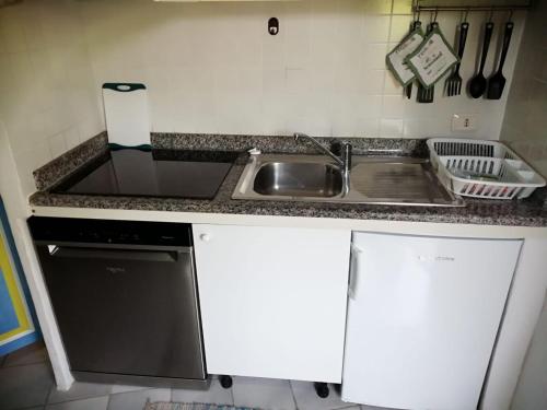 a kitchen counter with a sink and a dishwasher at NRH Baja Sardinia Cottage in Baja Sardinia