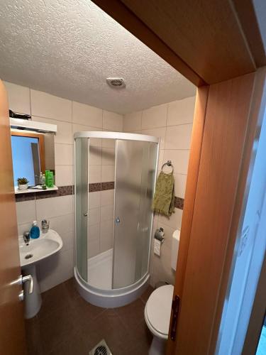 y baño con ducha, aseo y lavamanos. en Aparmani Ušće, en Trstenik