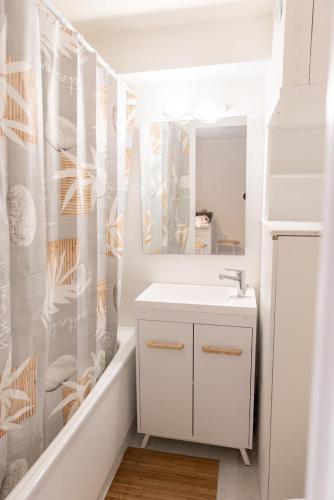 une salle de bain avec un lavabo blanc et un miroir dans l'établissement Maisonnette au calme, à Villeneuve-Loubet
