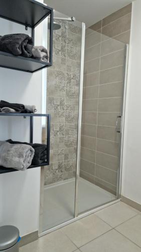 La salle de bains est pourvue d'une douche avec une porte en verre. dans l'établissement Archipel Capri, à Valras-Plage