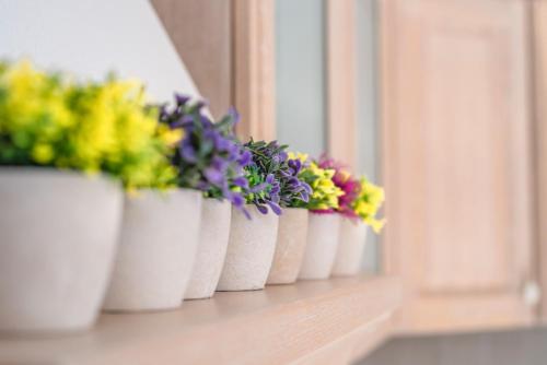 a row of flower pots sitting on a window sill at Lunar Villa in Glastros