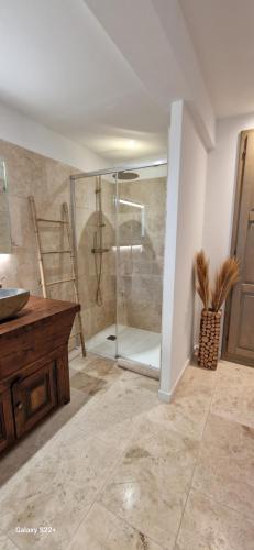 a bathroom with a shower with a sink and a counter at A Pasturella, jacuzzi privé in Venzolasca
