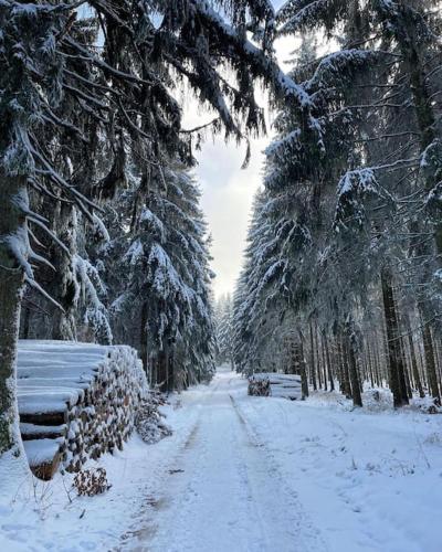 a snow covered road with trees and a fence at Apartment mit Wintergarten und Terrasse in ruhiger Lage im schönen Taunus in Glashütten