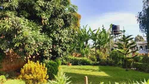 a garden with trees and grass and a house at Hotfoot Homestays in Isiolo