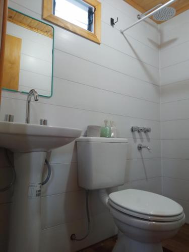 een badkamer met een wit toilet en een wastafel bij D'Charrúas Cabañas Chajarí in Chajarí