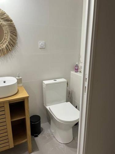 een badkamer met een wit toilet en een wastafel bij Charmant Studio / Centre ville in Niort