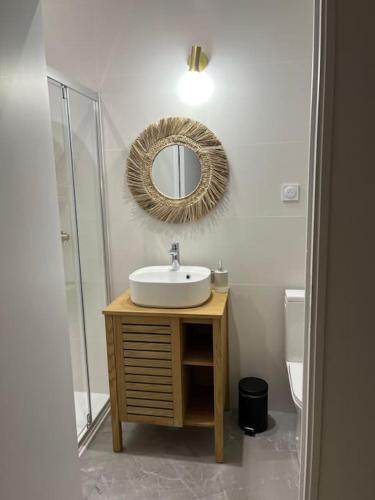 een badkamer met een wastafel en een spiegel aan de muur bij Charmant Studio / Centre ville in Niort