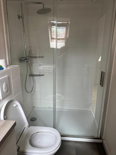 uma casa de banho branca com um chuveiro e um WC. em Presqu’île Crozon-Morgat em Crozon