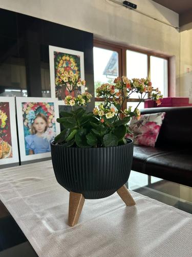 a black pot sitting on a table with a plant at Hotel Vesta Centrum Konferencyjno Wypoczynkowe in Jeleśnia