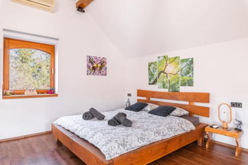 1 dormitorio con cama y ventana en Luxury Vineyard Retreat Matej - Happy Rentals, en Trebnje