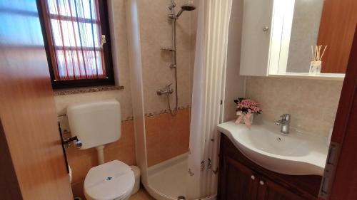 uma casa de banho com um WC, um lavatório e um chuveiro em Studio für 2 Personen ca 25 qm in Novigrad, Istrien Istrische Riviera - b44338 em Karpinjan