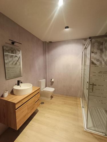 a bathroom with a toilet and a sink and a shower at Casa Alda in Cabezuela