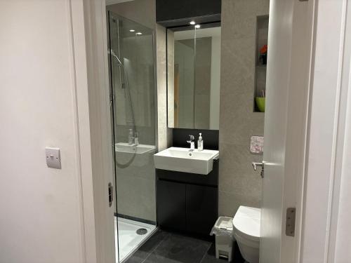 y baño con lavabo, aseo y espejo. en Modern en-suite room and self catering in london en Woolwich