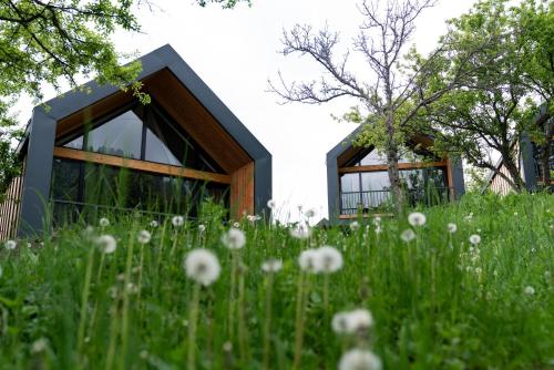 a house in a field of grass with flowers at Qazaq Auyl Eco Hotel in Almaty