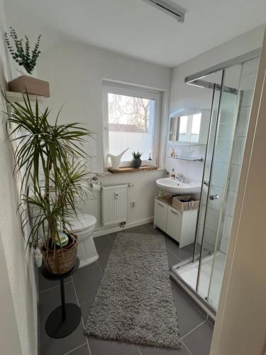 a bathroom with a toilet and a sink at Nordic Charme by B&B in Bad Gandersheim