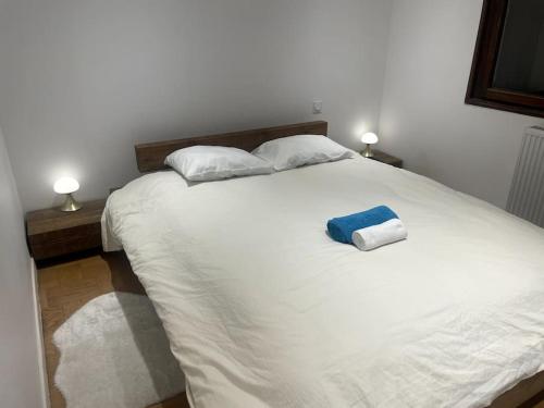- un lit blanc avec 2 oreillers et une serviette bleue dans l'établissement Annecy Centre-ville: 3 couchages, parking, à Annecy