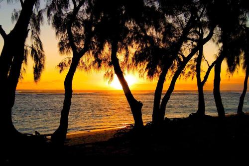 a sunset over the ocean with palm trees on the beach at Villa Rosa Palma 10 personnes piscine chauffée à St Gilles les bains in Saint-Paul