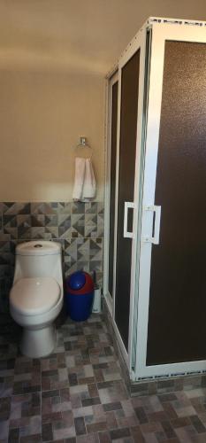 a bathroom with a toilet and a glass shower door at Loma Verde in Danlí